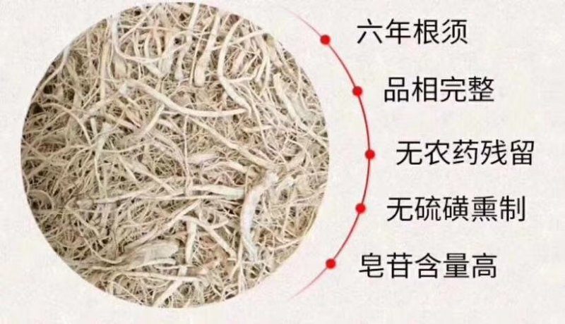 【有好货】长白山人参白混须泡水打粉煲汤