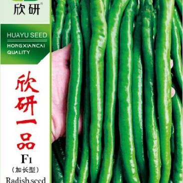 粒尔田欣研一品（加长型）线椒种子1000粒/袋蔬菜种子