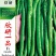 粒尔田欣研一品（加长型）线椒种子1000粒/袋蔬菜种子