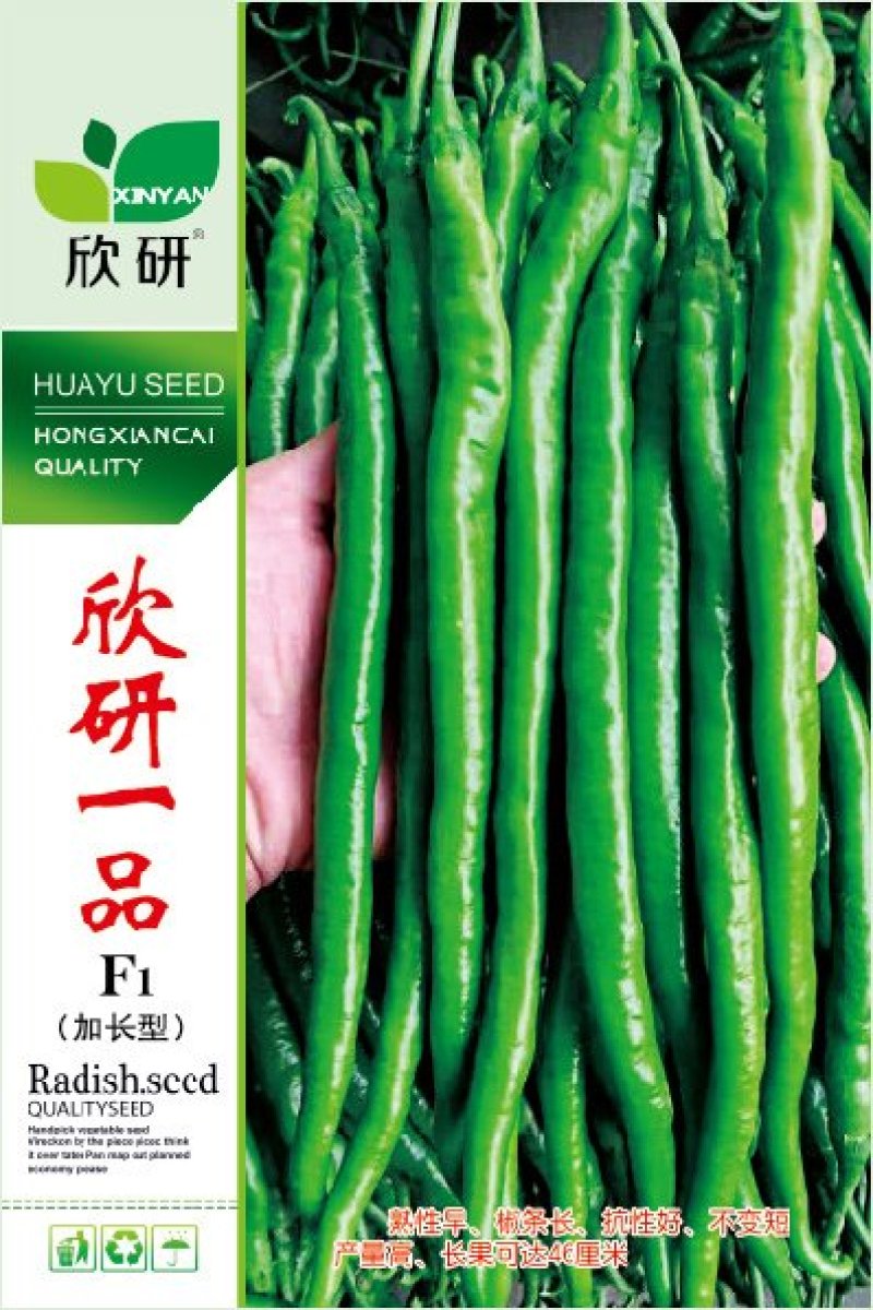 粒尔田欣研一品（加长型）线椒种子1000粒/袋蔬菜种子