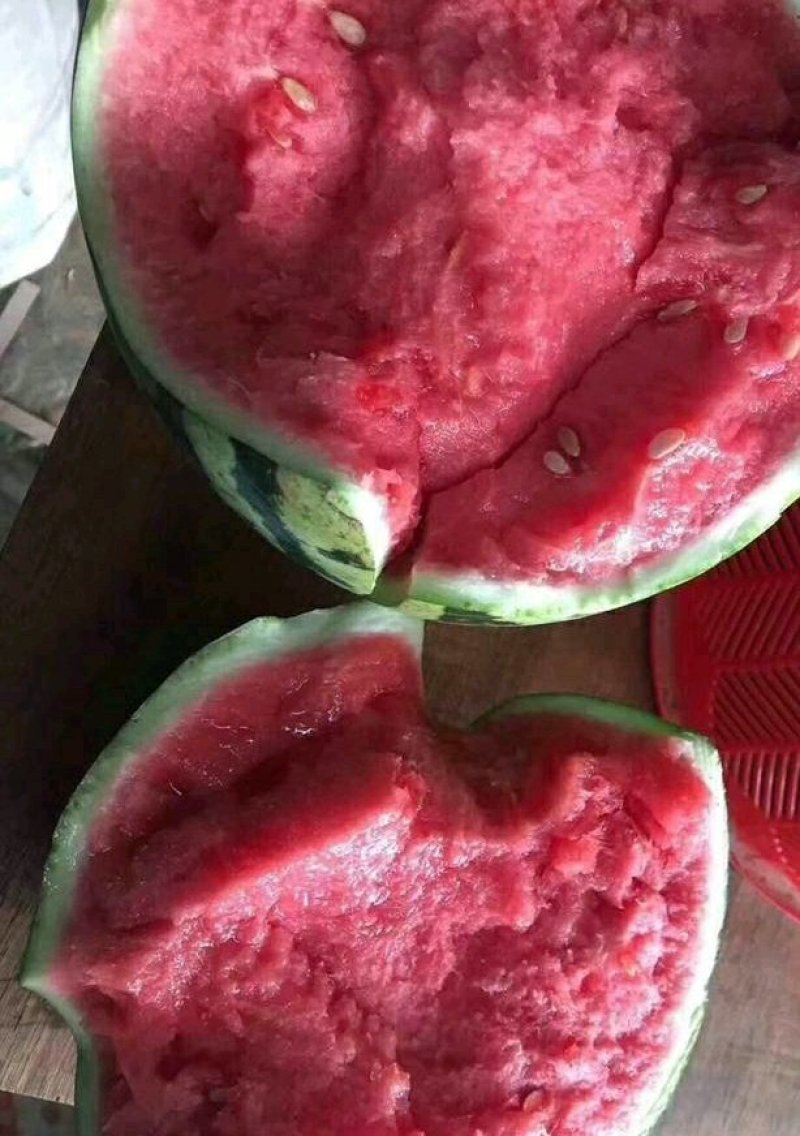 (精品)美都高糖度口感酥一手货源整车大量供货
