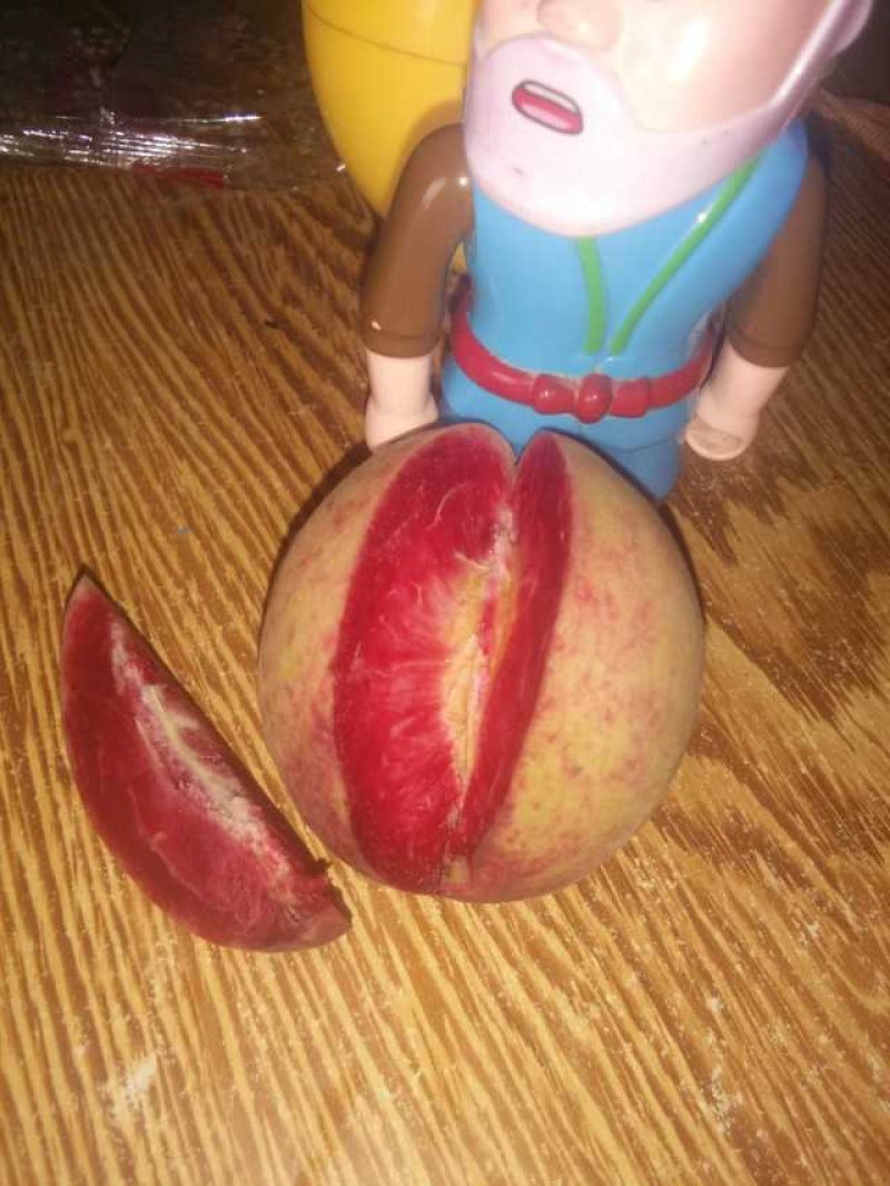 风味绝佳的早熟桃一一血桃