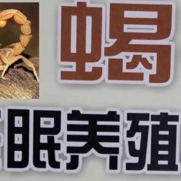 无冬眠养蝎实用技术