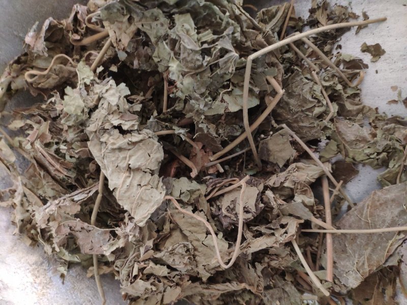 芙蓉叶木芙蓉货好量大要多了有优惠冷背药材
