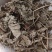 芙蓉叶木芙蓉货好量大要多了有优惠冷背药材