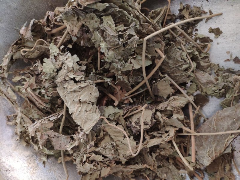 芙蓉叶木芙蓉货好量大要多了有优惠冷背药材