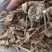 芙蓉叶木芙蓉货好量大要多了有优惠冷背药材
