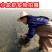 湖北汈汊湖清水小龙虾4一6钱，需求长年要虾的客户合作
