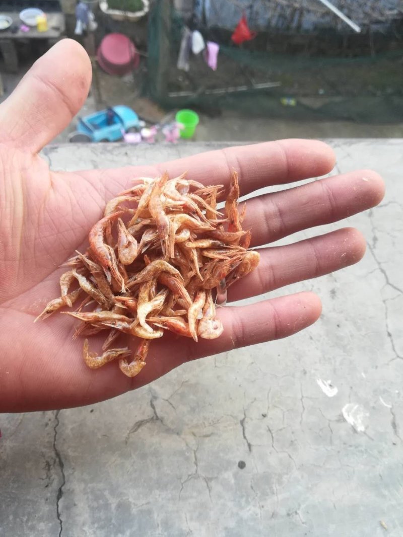 虾干