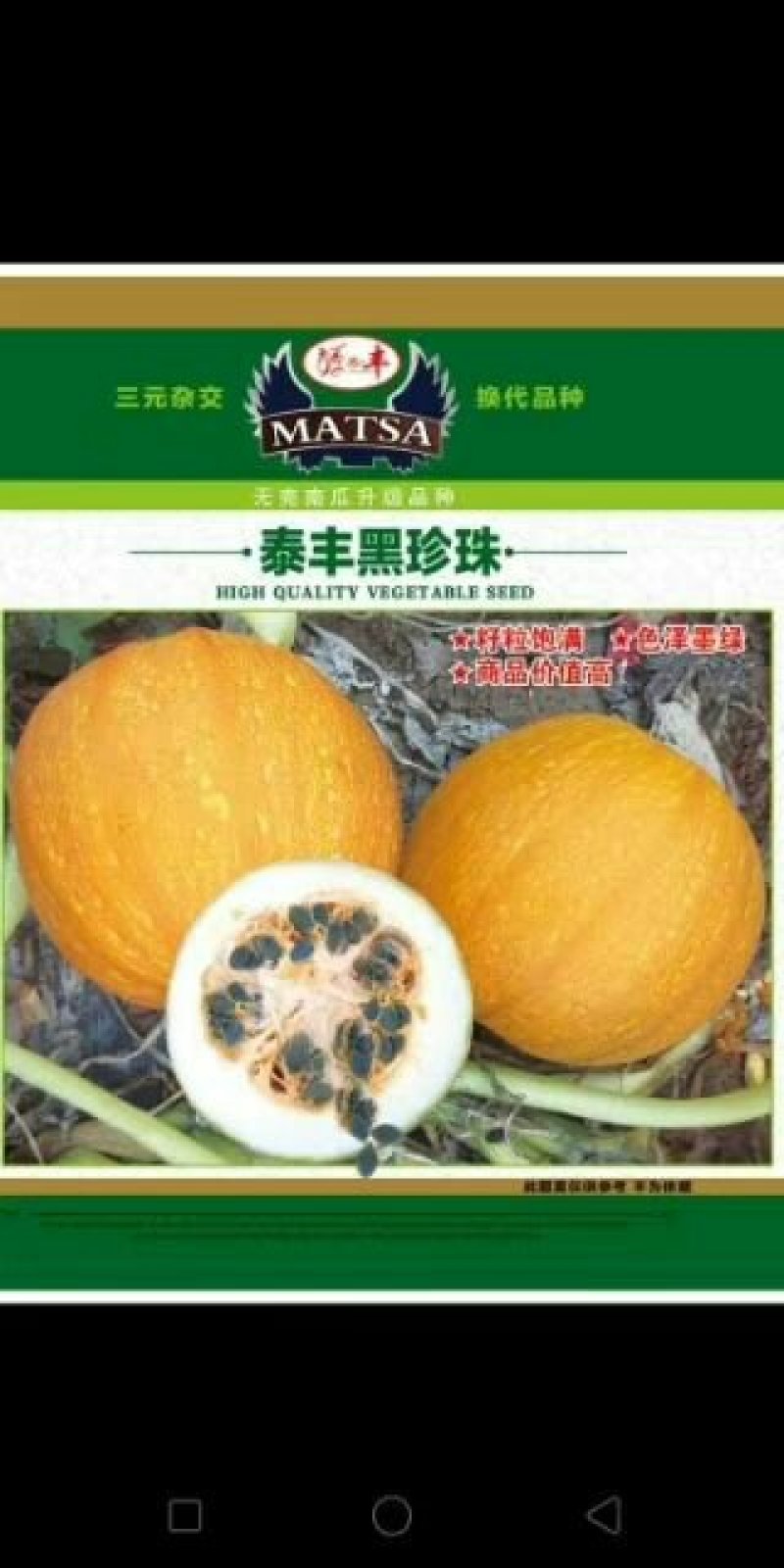 无壳南瓜种子