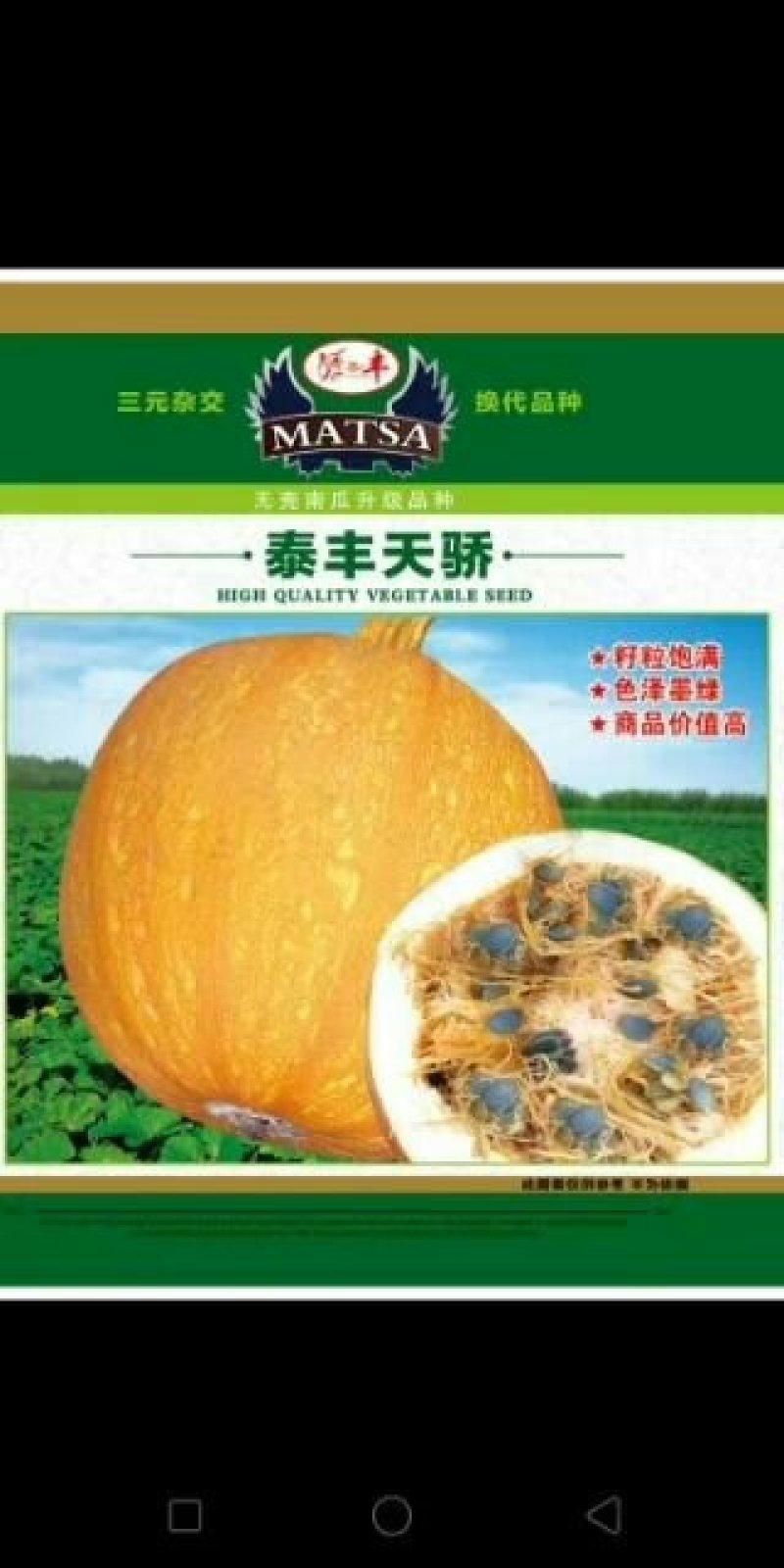 无壳南瓜种子