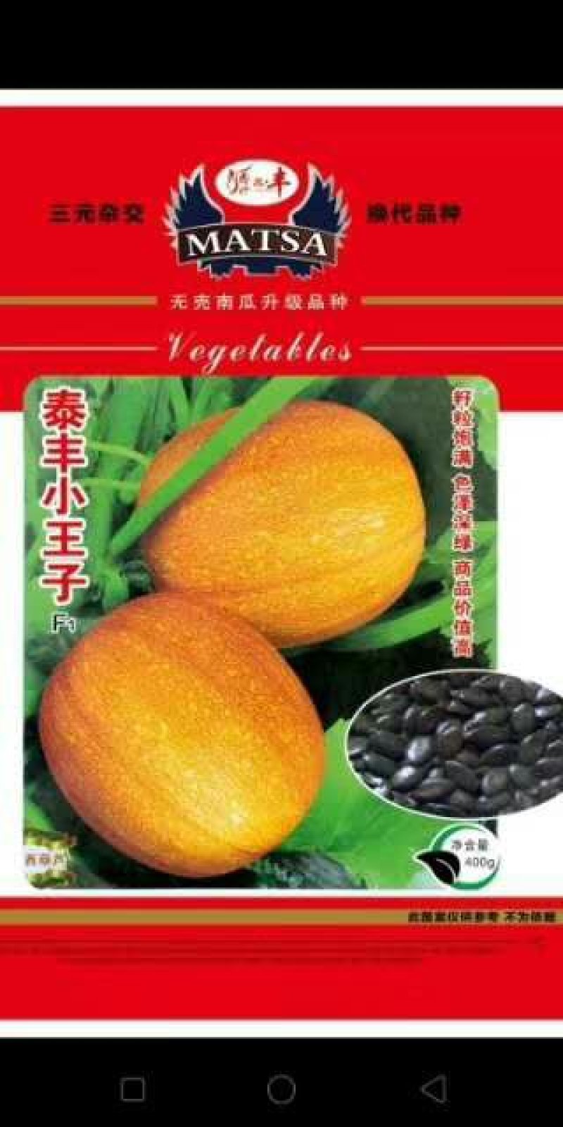 打瓜子种子，西葫芦种子