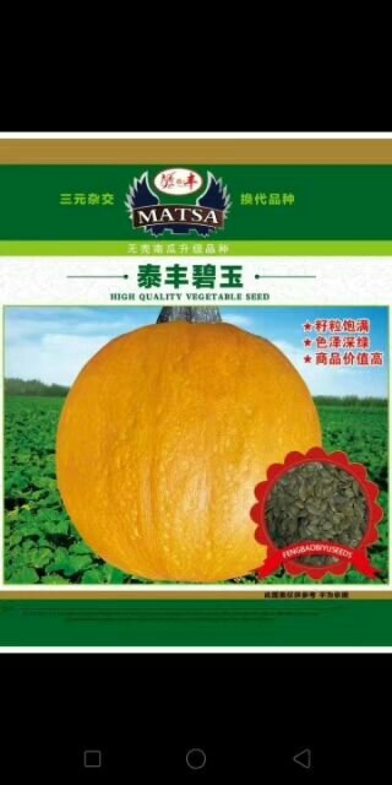 籽用南瓜种子