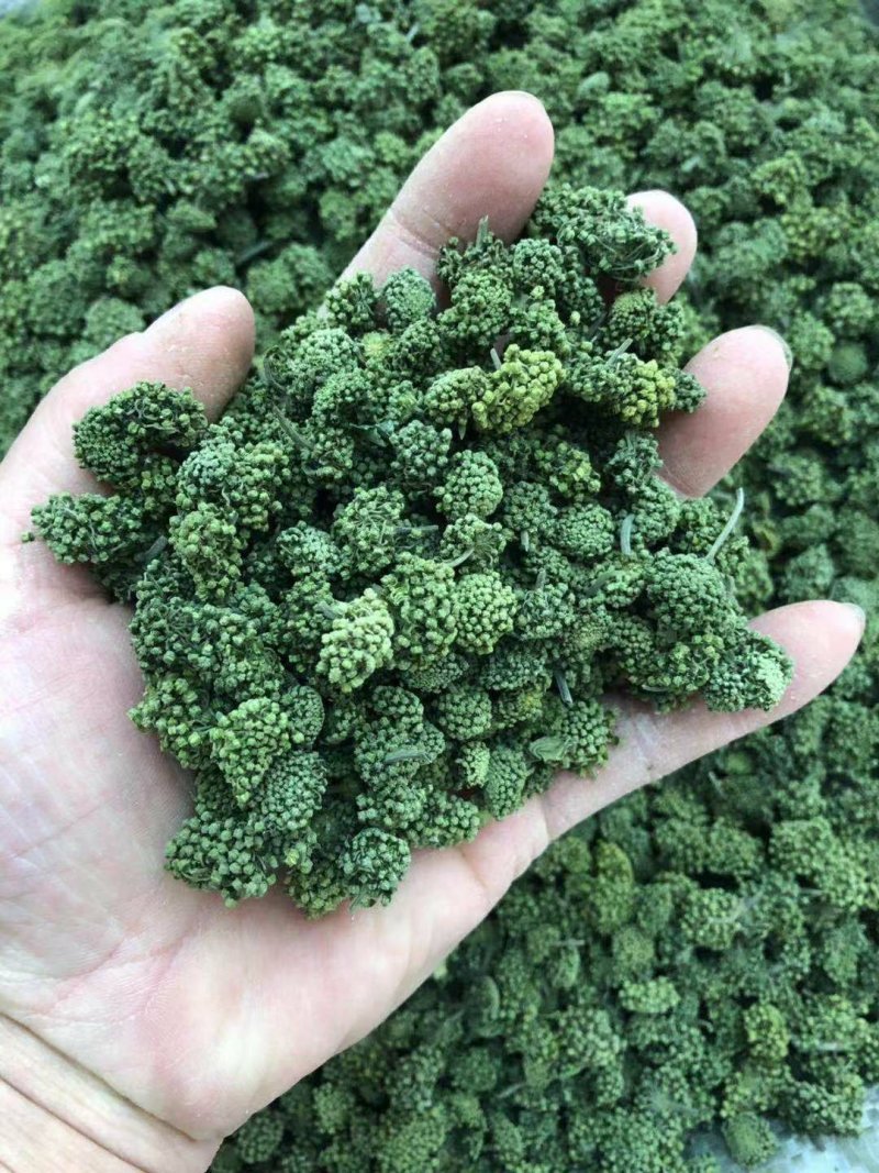 包邮文山三七（三七花）特级三年花，色青无硫纯净货