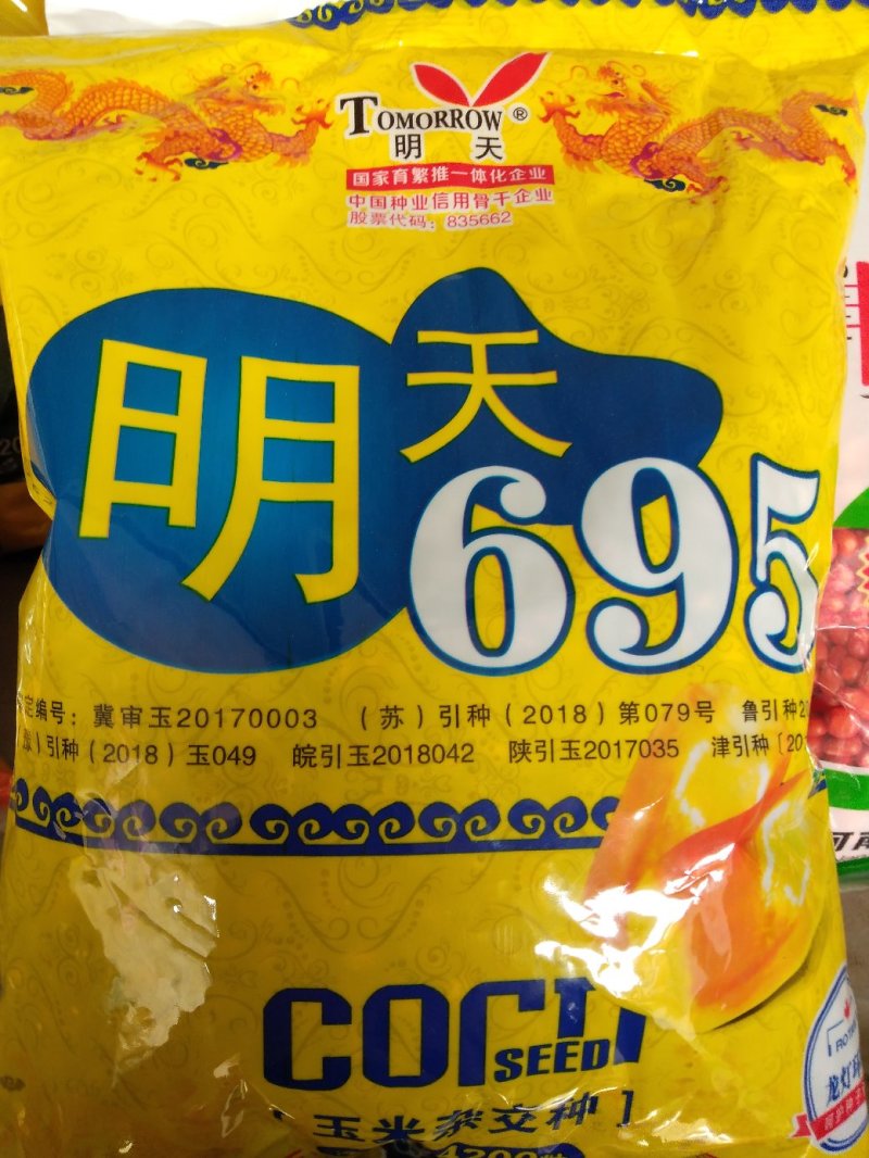 玉米种秋乐368/2017年国审品种