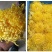金丝皇菊苗，婺源菊花苗，菊花苗，现挖现发，包质量