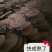 灵芝菌棒,鹿茸菌菌包基地养殖技术指导,出芝产量高回报快