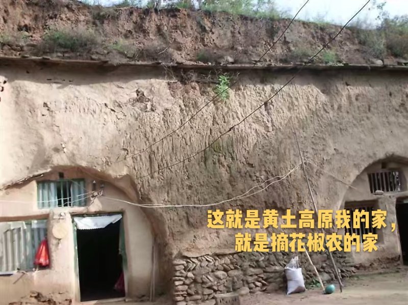 正宗韩城大红袍，干花椒，黄土高坡特产