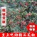 正宗韩城大红袍，干花椒，黄土高坡特产