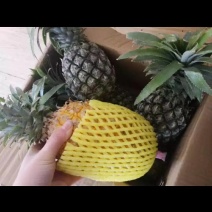 云南香水小菠萝，