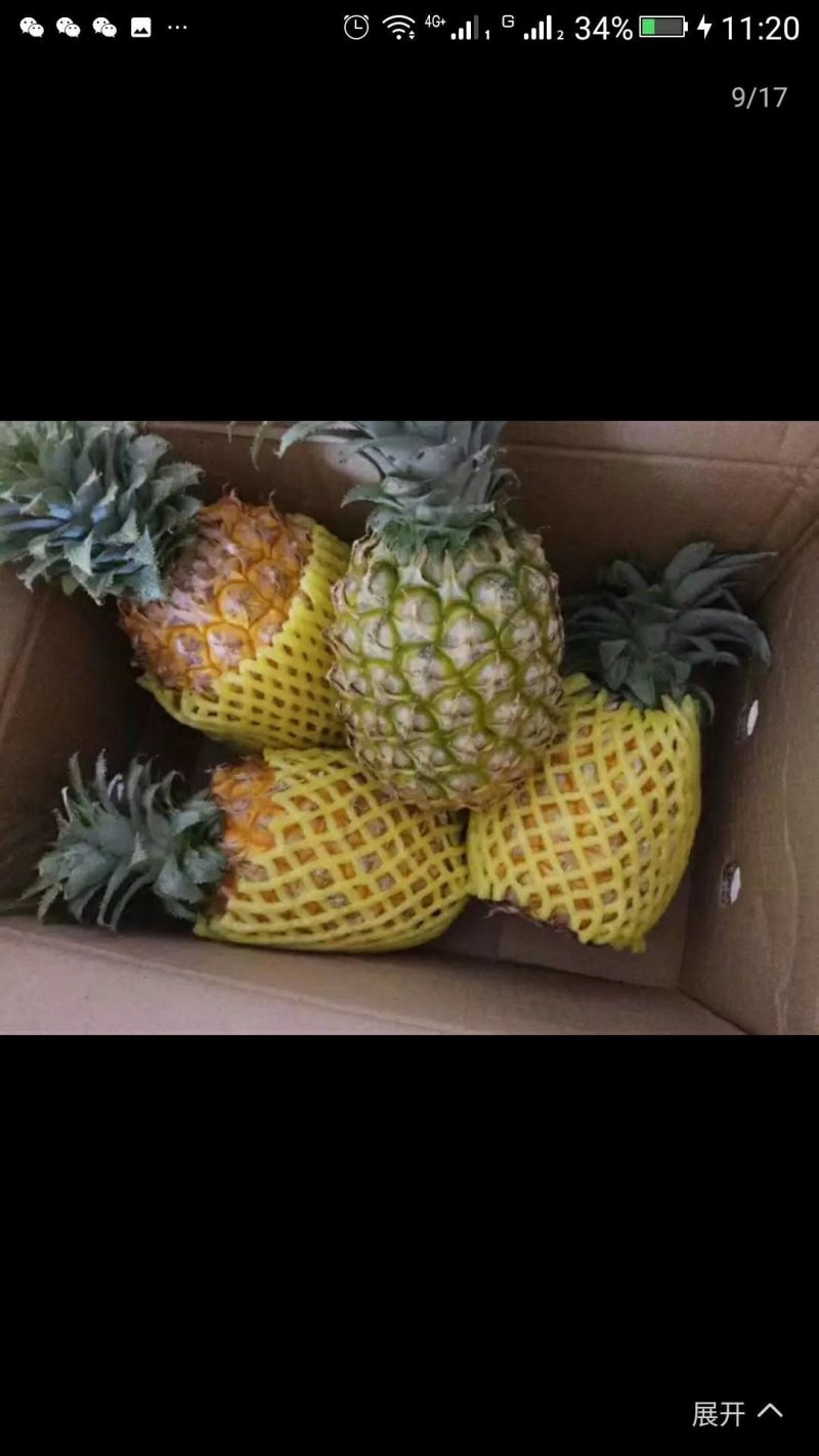 云南香水小菠萝，