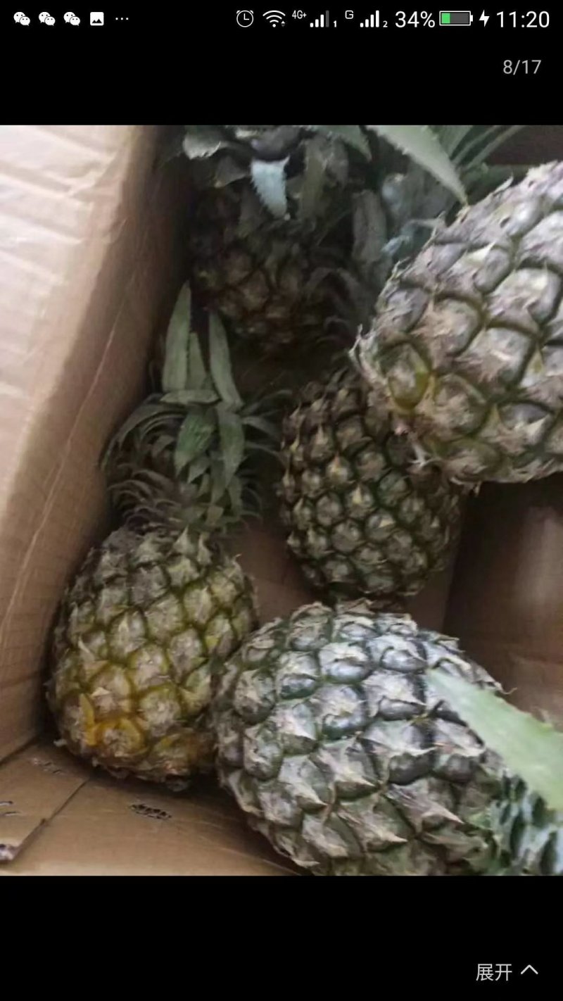 云南香水小菠萝，