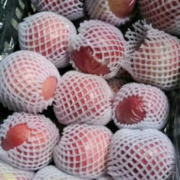 红富士苹果膜袋产地