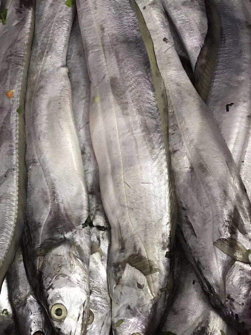 紫菜，本港南澳鱿鱼，潮汕特色咸带鱼