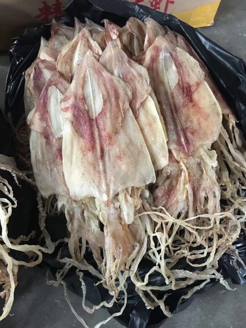 紫菜，本港南澳鱿鱼，潮汕特色咸带鱼