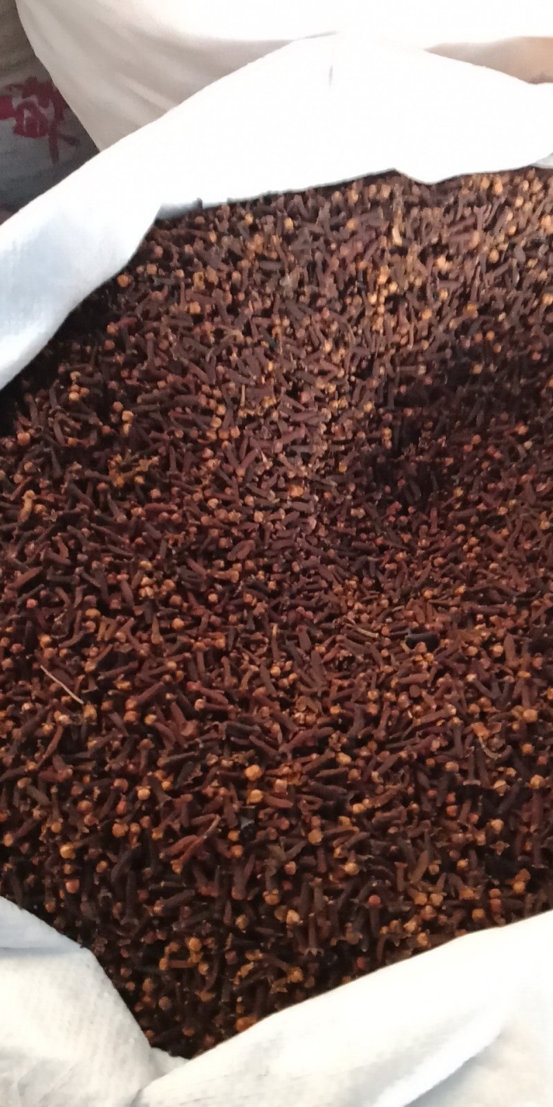 丁香丁香调料公丁香各种中药材批发质量保证产地