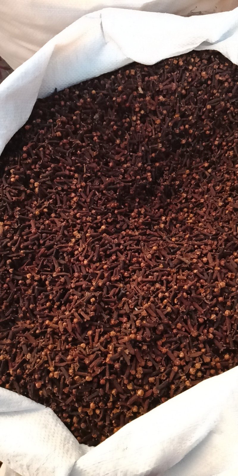 丁香丁香调料公丁香各种中药材批发质量保证产地