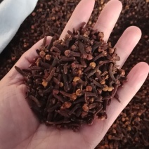 丁香丁香调料公丁香各种中药材批发质量保证产地
