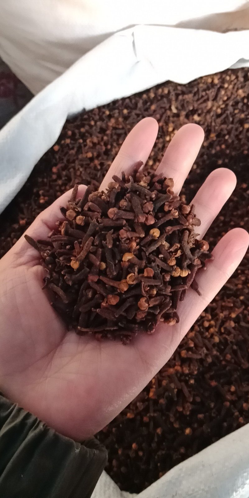 丁香丁香调料公丁香各种中药材批发质量保证产地