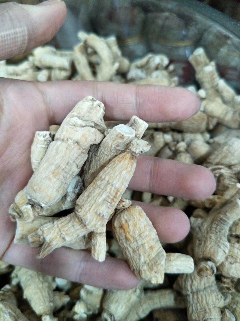西洋参切片含片花旗参片500g