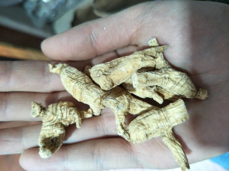 西洋参切片含片花旗参片500g