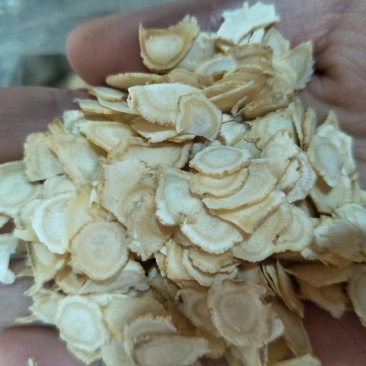 西洋参切片含片花旗参片500g