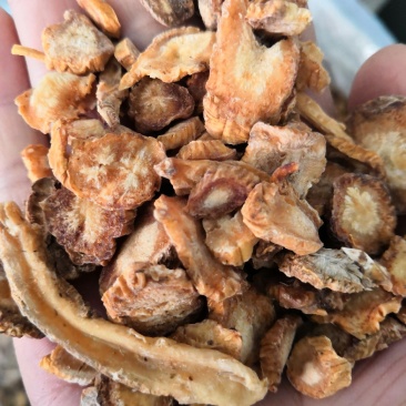 防风新货中药材特级优质正品质量防风片
