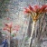 香椿芽