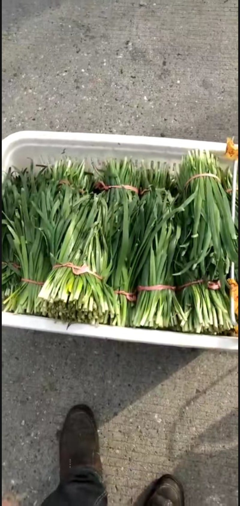 韭菜