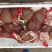 外塘50克左右规格甲鱼苗，鱼塘水库混养，成活率高，包邮