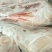 山东精品白条鸭850-2500克肉质鲜美规格齐全商用批发