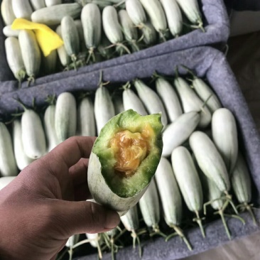 博洋蜜瓜一件代发