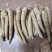 花旗参中要花旗参条种类繁多价格优惠