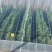 大棚膜5+2高保温高透明PO宽度1—20塑料农膜温室专用
