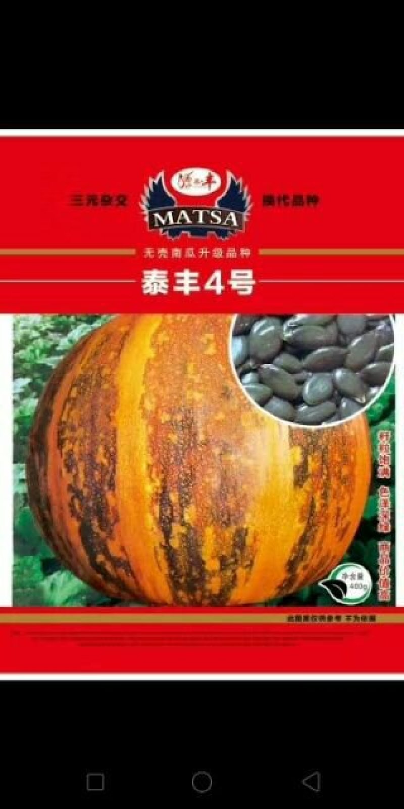 无壳南瓜种子