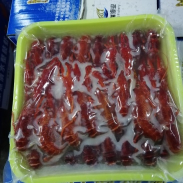龙虾清水虾整支