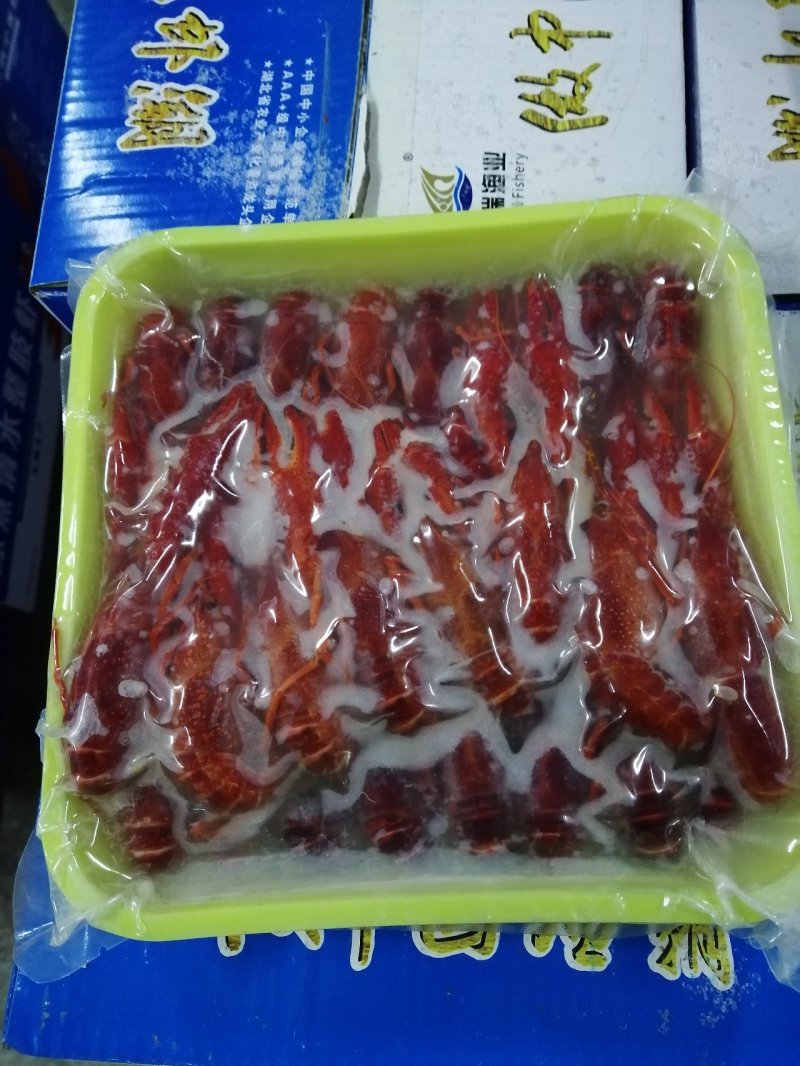 龙虾清水虾整支