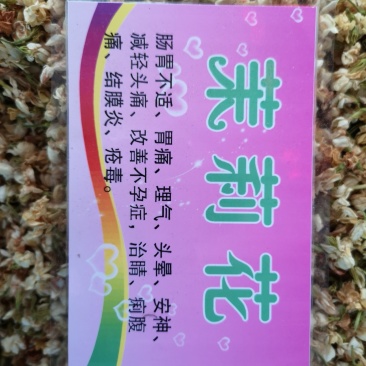 茉莉花广西茉莉花茶开花茉莉花茶