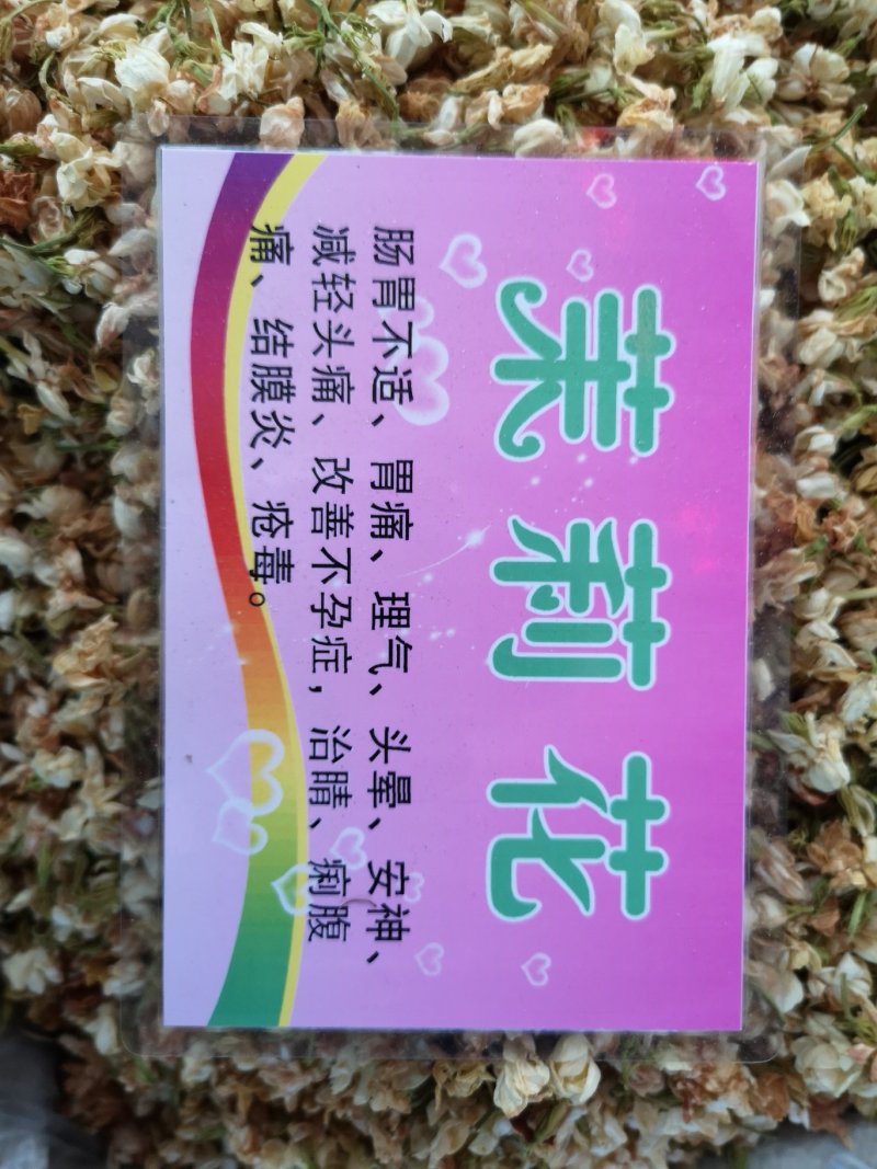 茉莉花广西茉莉花茶开花茉莉花茶