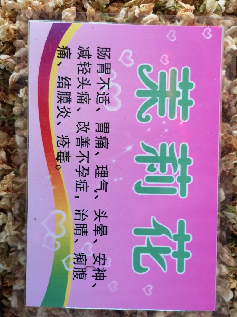 茉莉花广西茉莉花茶开花茉莉花茶